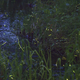 Image for article titled Fireflies Almost Salvage Man’s Shitty Day